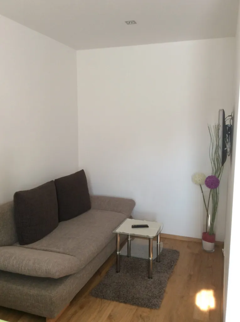 Appartement Hochglocker: Wohnbereich mit ausziehbarer Couch