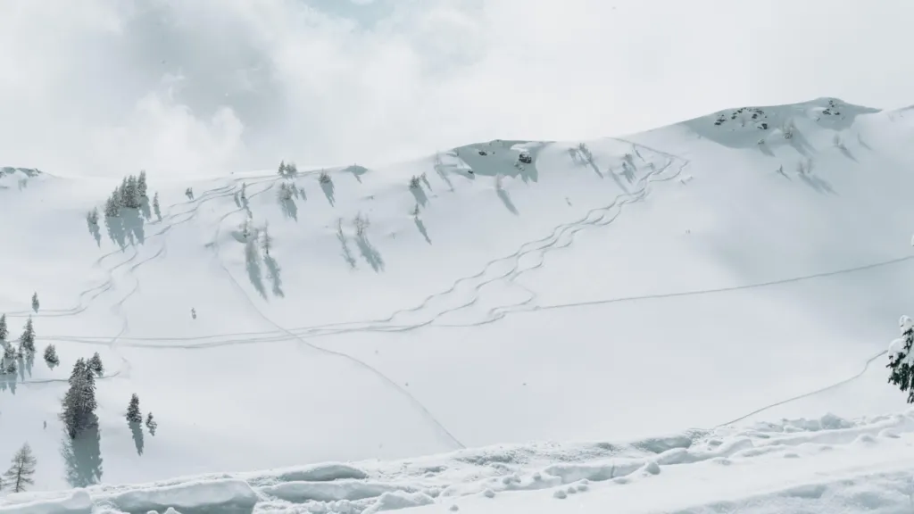 Verschneite Hänge mit Spuren im Pulverschnee und einzelnen Bäumen