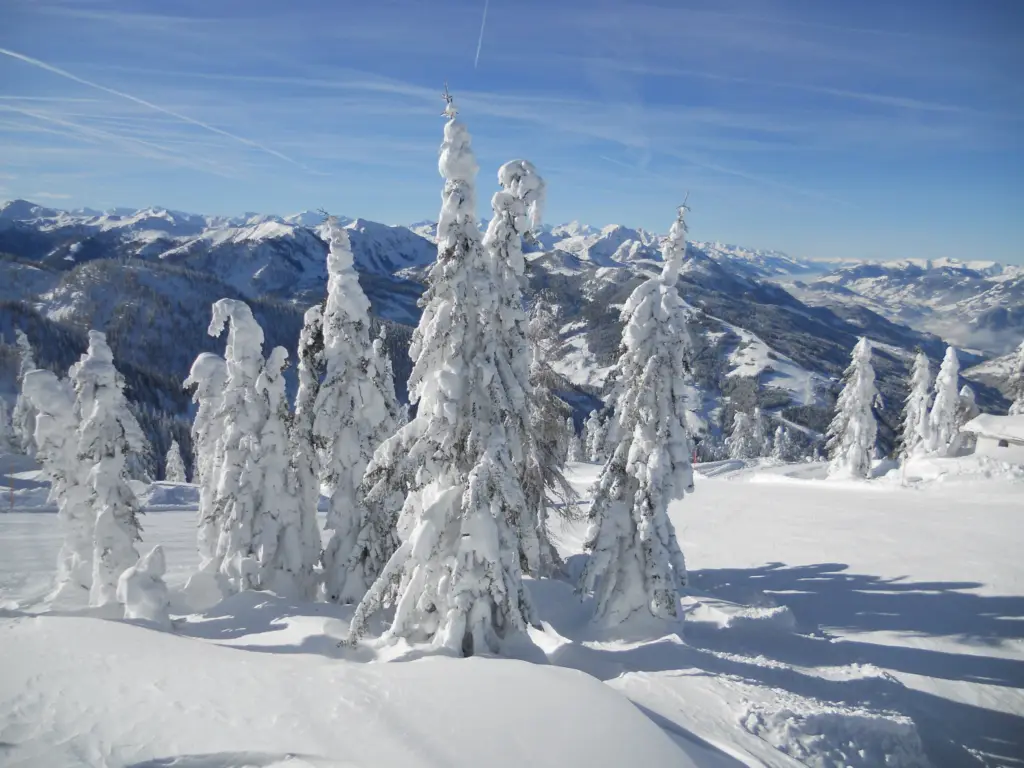 Tief verschneite Fichten vor einem weiten Bergpanorama